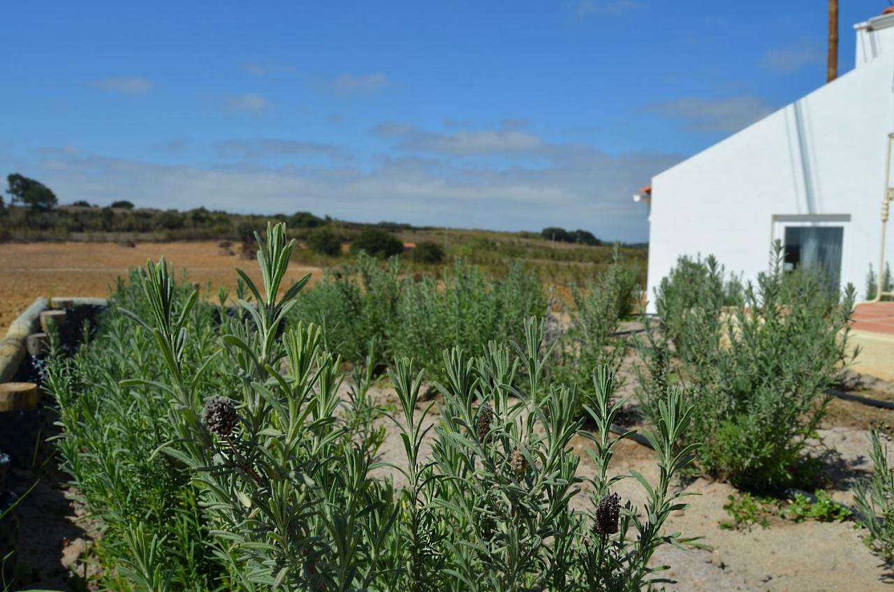 Entre Vinhas & Mar Villa Óbidos Kültér fotó